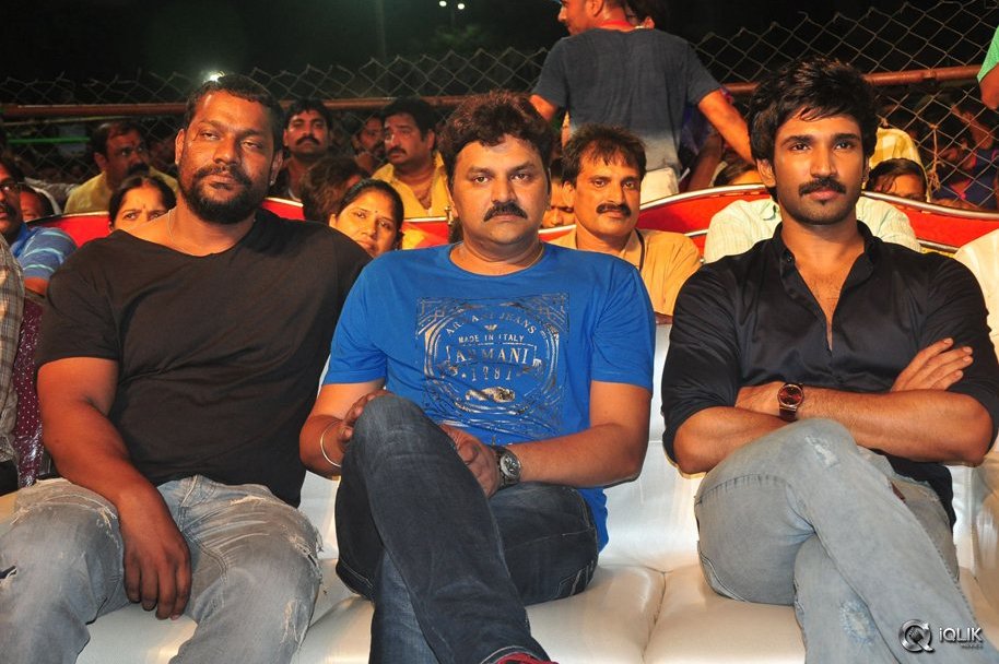 Sarrainodu-Movie-Blockbuster-Function